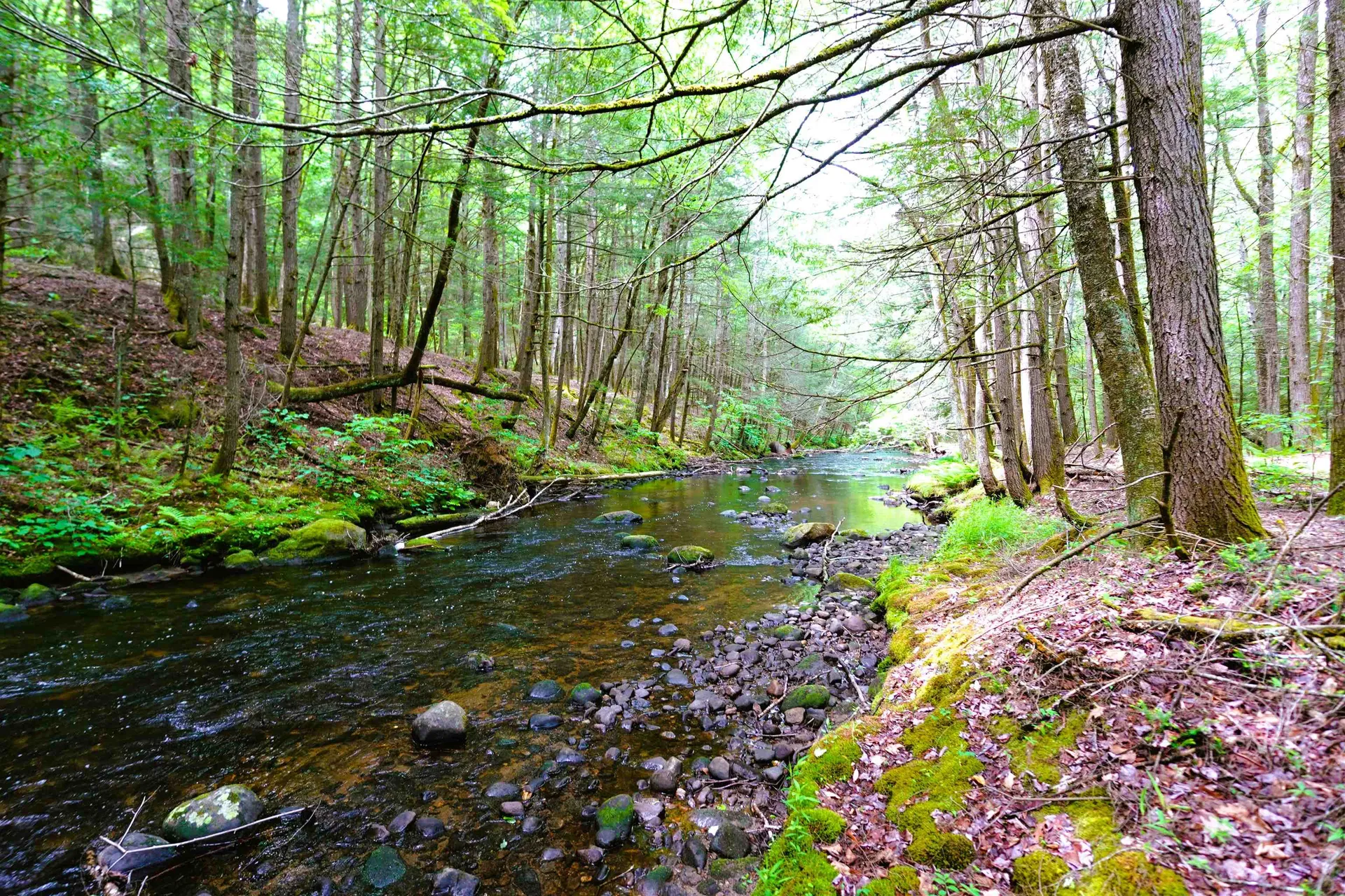 525 Richmond Road Winchester NH 03470