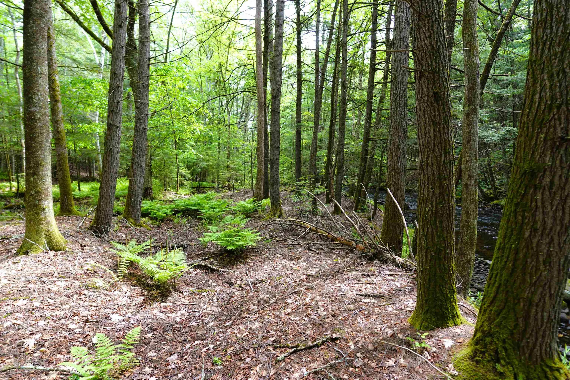 525 Richmond Road Winchester NH 03470