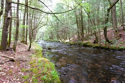 525 Richmond Road Winchester NH 03470