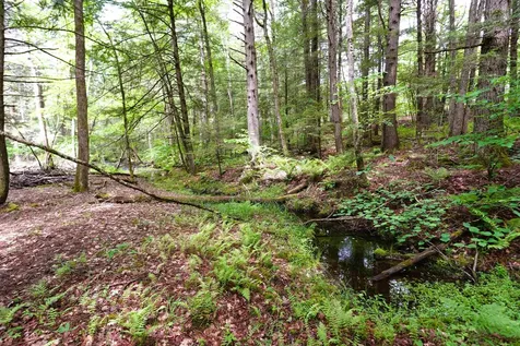 525 Richmond Road Winchester NH 03470