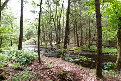 525 Richmond Road Winchester NH 03470