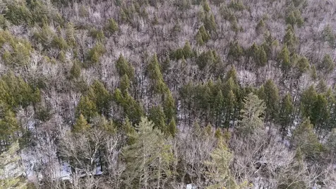 525 Richmond Road Winchester NH 03470