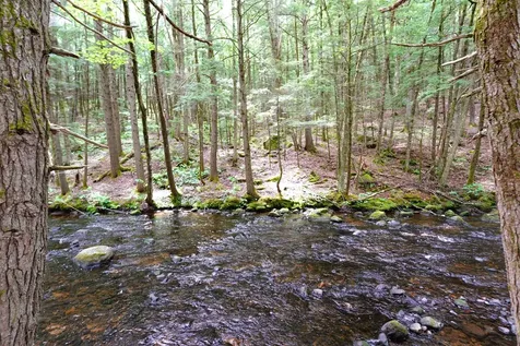525 Richmond Road Winchester NH 03470