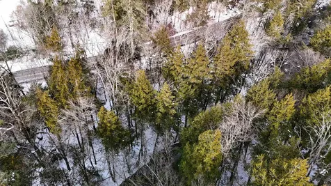 525 Richmond Road Winchester NH 03470