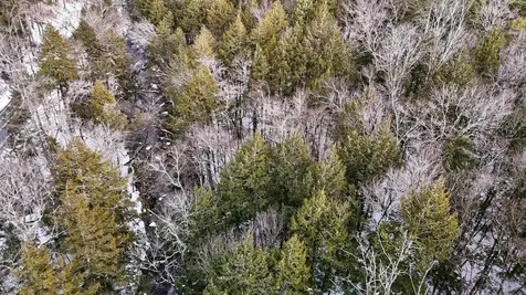 525 Richmond Road Winchester NH 03470