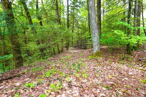 525 Richmond Road Winchester NH 03470