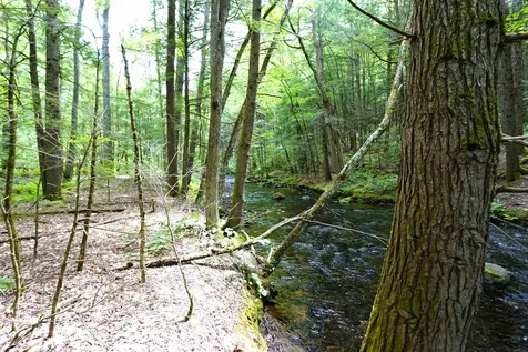 525 Richmond Road Winchester NH 03470