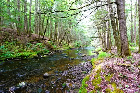 525 Richmond Road Winchester NH 03470