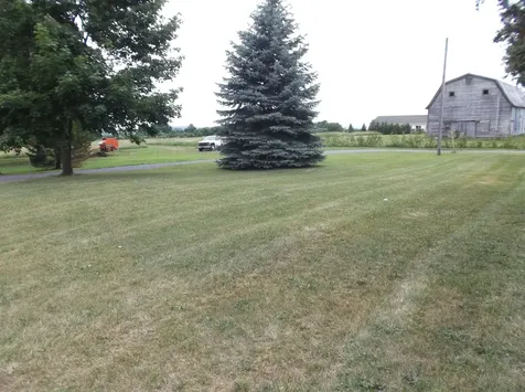 7525 Ethan Allen Highway Georgia VT 05478