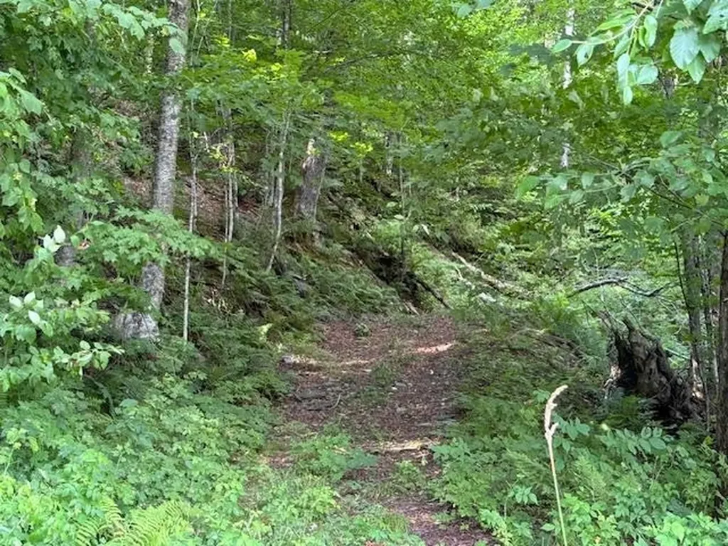 Vt Route 14 Albany VT 05820