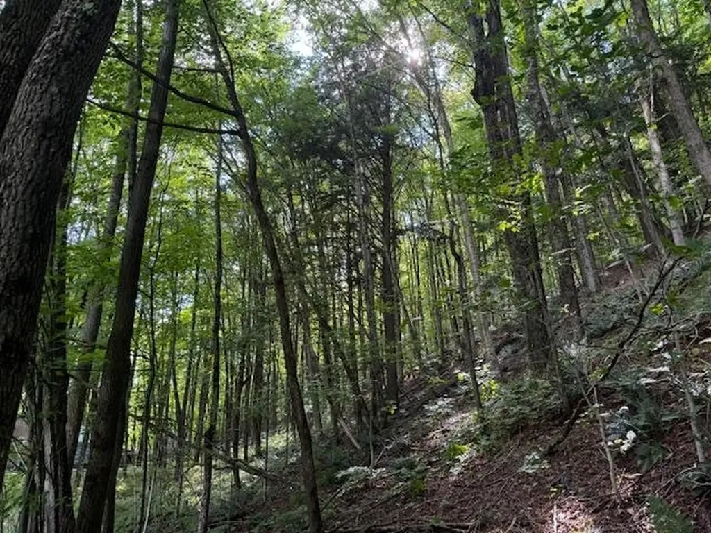 Vt Route 14 Albany VT 05820