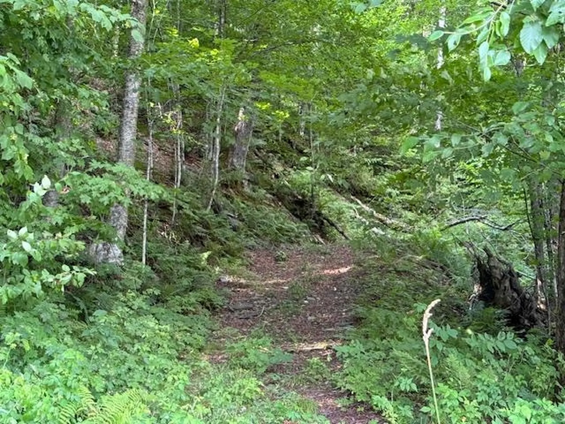 Vt Route 14 Albany VT 05820