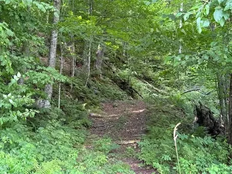 Vt Route 14 Albany VT 05820