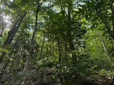 Vt Route 14 Albany VT 05820