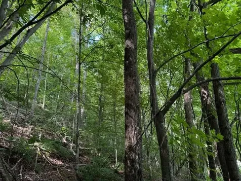 Vt Route 14 Albany VT 05820