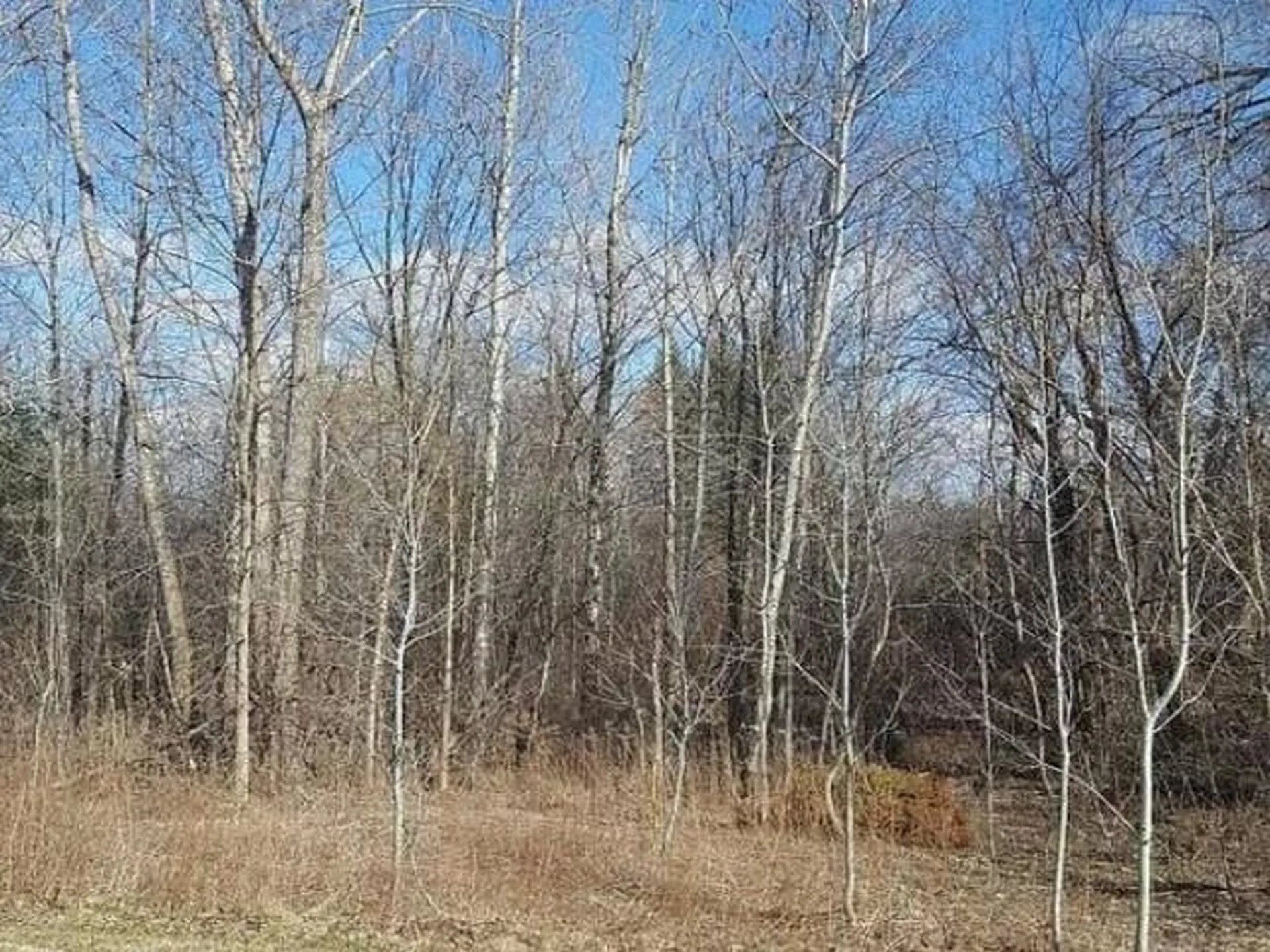 124 Quarry Hill Road South Burlington VT 05403