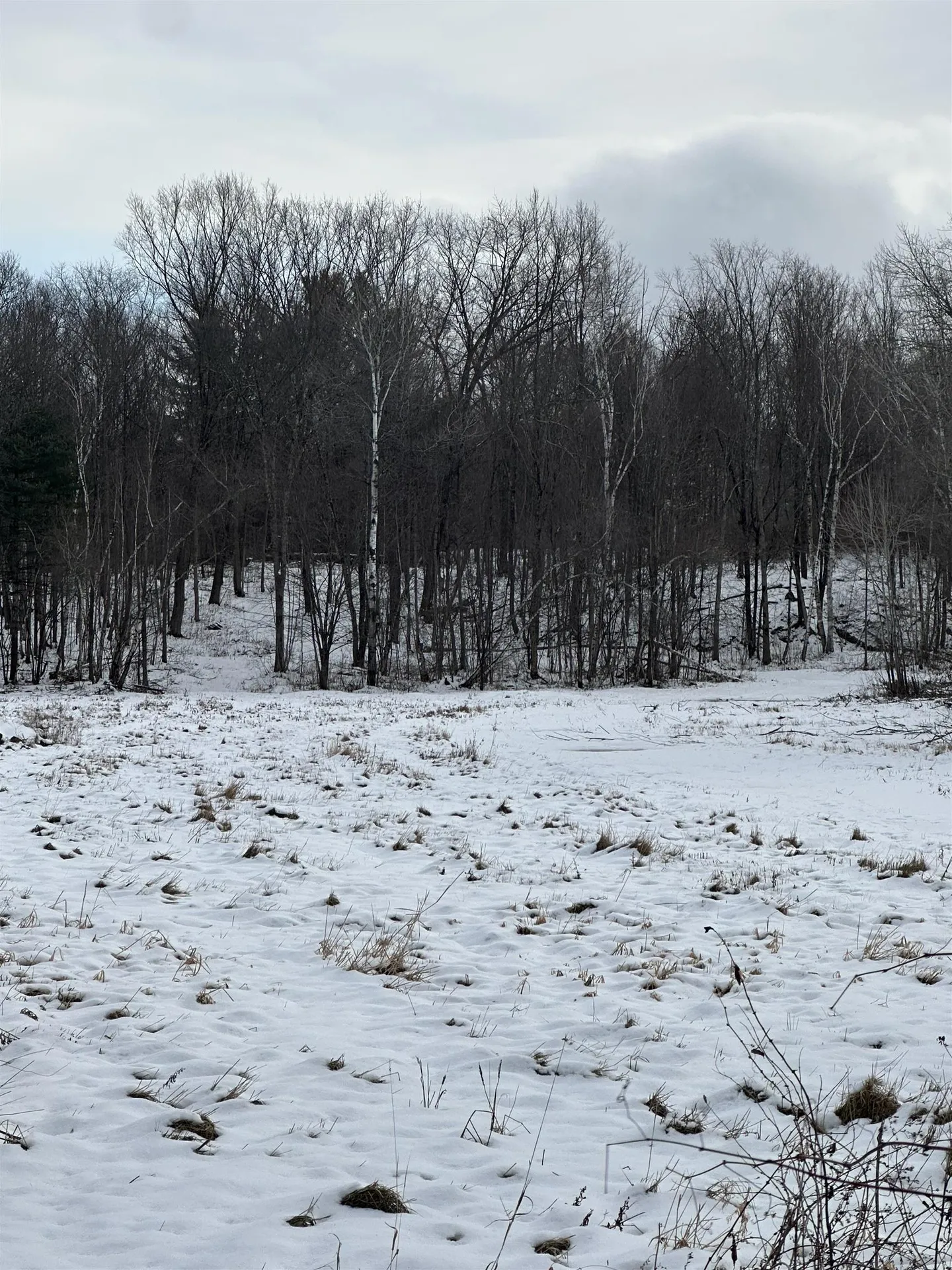 0 Columbus Smith Road Salisbury VT 05769