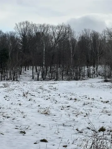 0 Columbus Smith Road Salisbury VT 05769