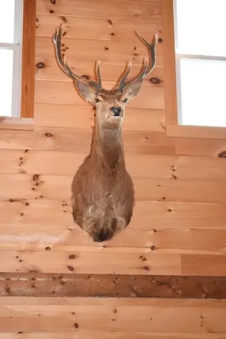 338 Percy Road Stark NH 03582