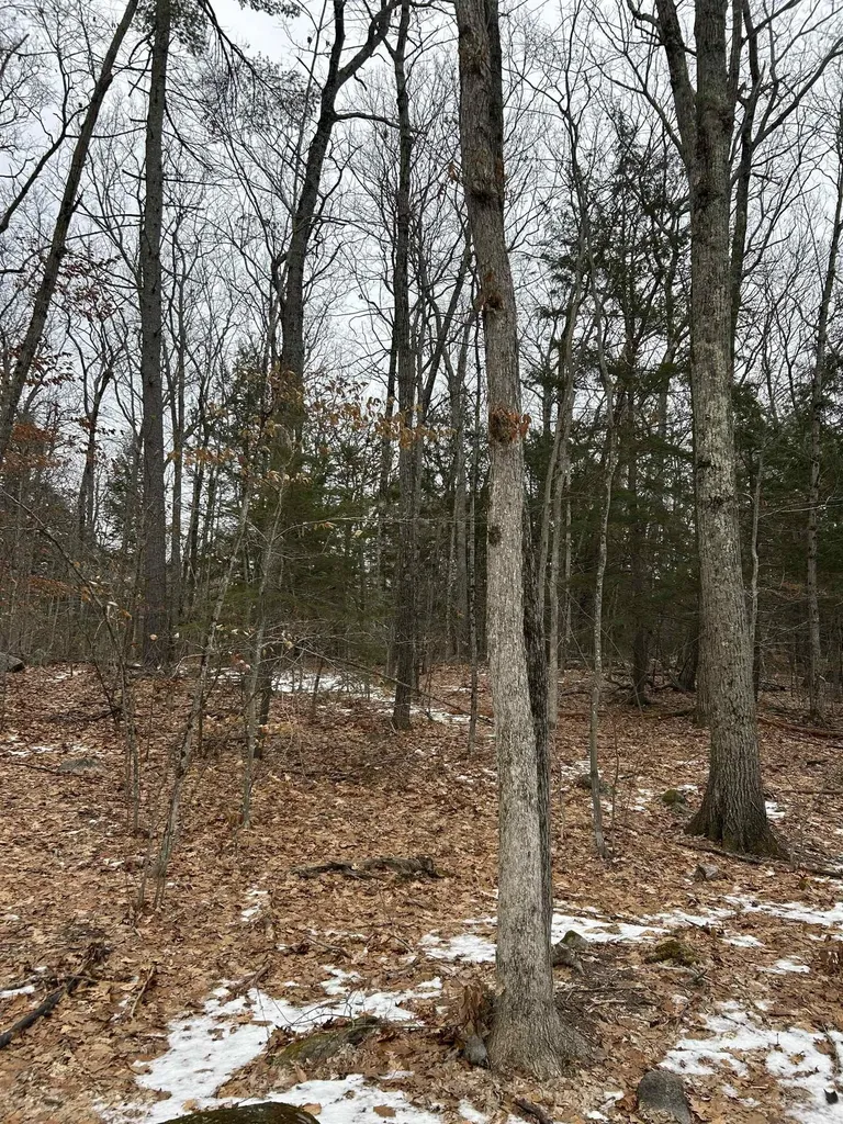42 Kings Pine Road Wolfeboro NH 03894
