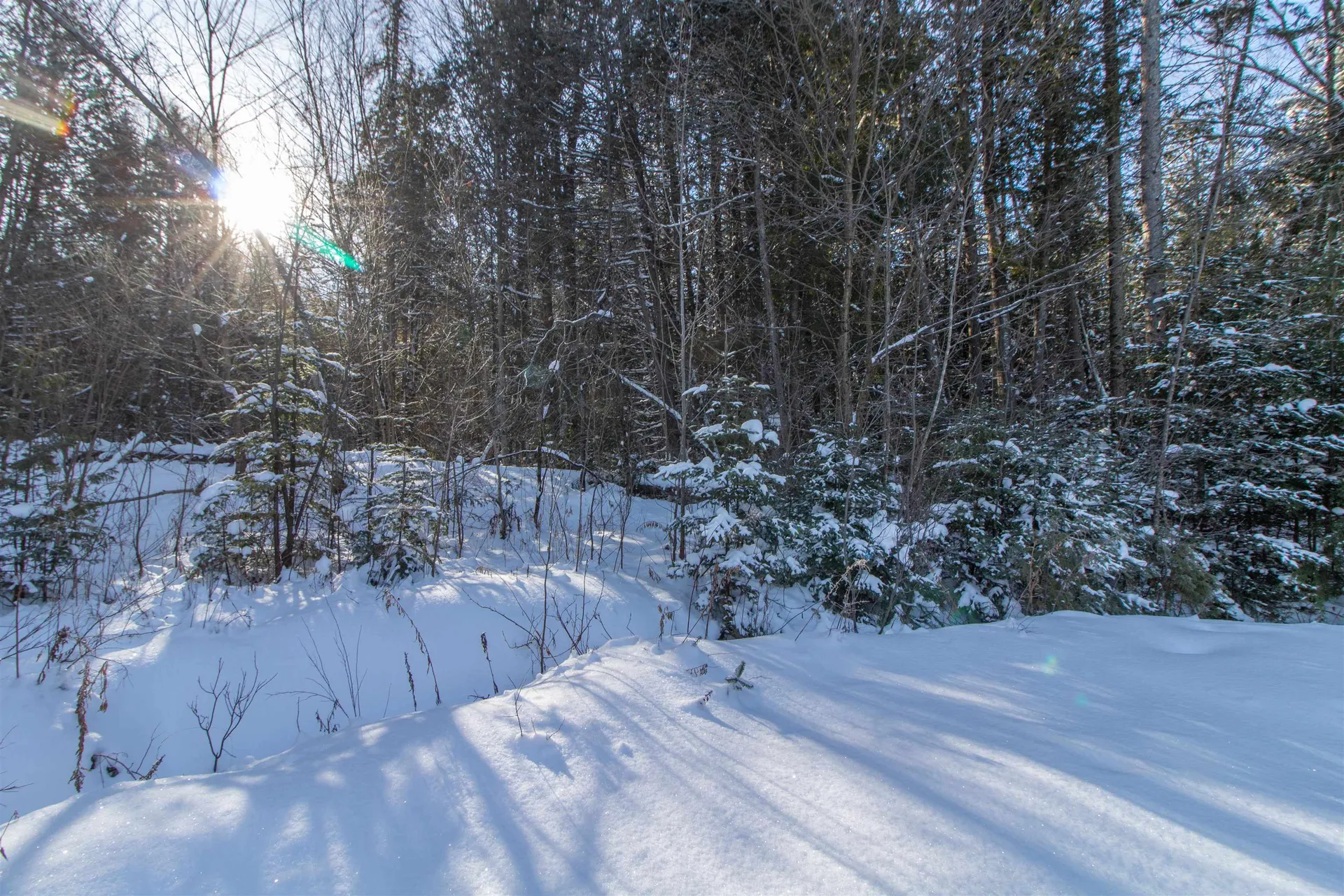 110 Chapdelaine Road Brownington VT 05860-0