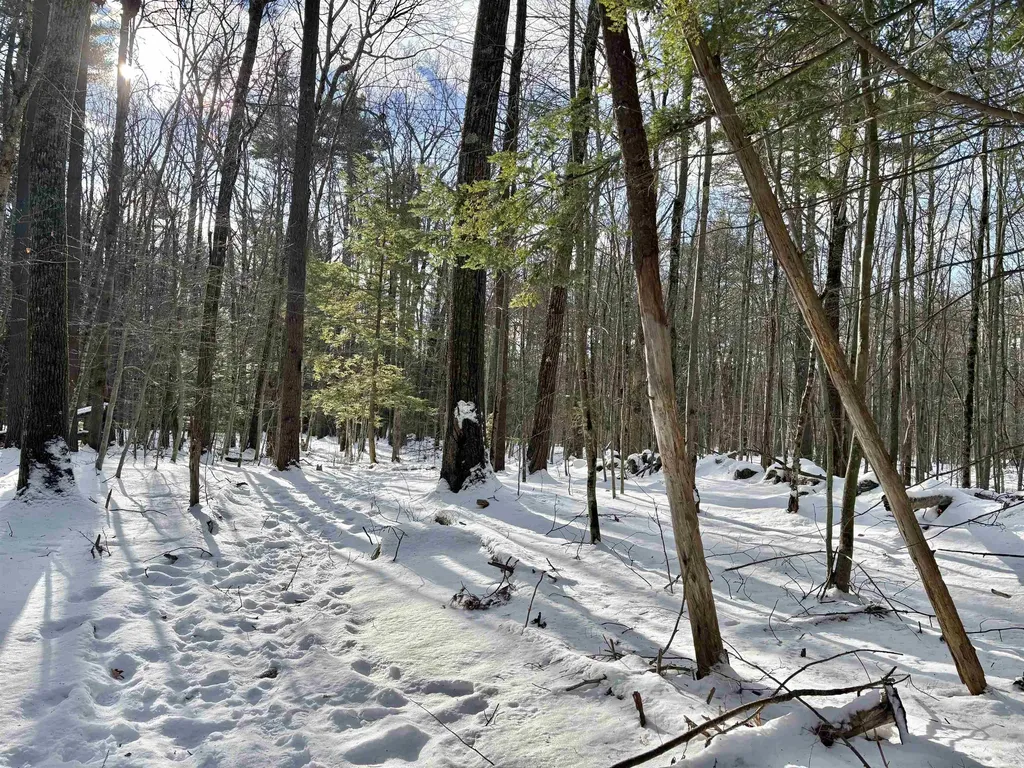 Lot 80-1 Currier Road Candia NH 03034