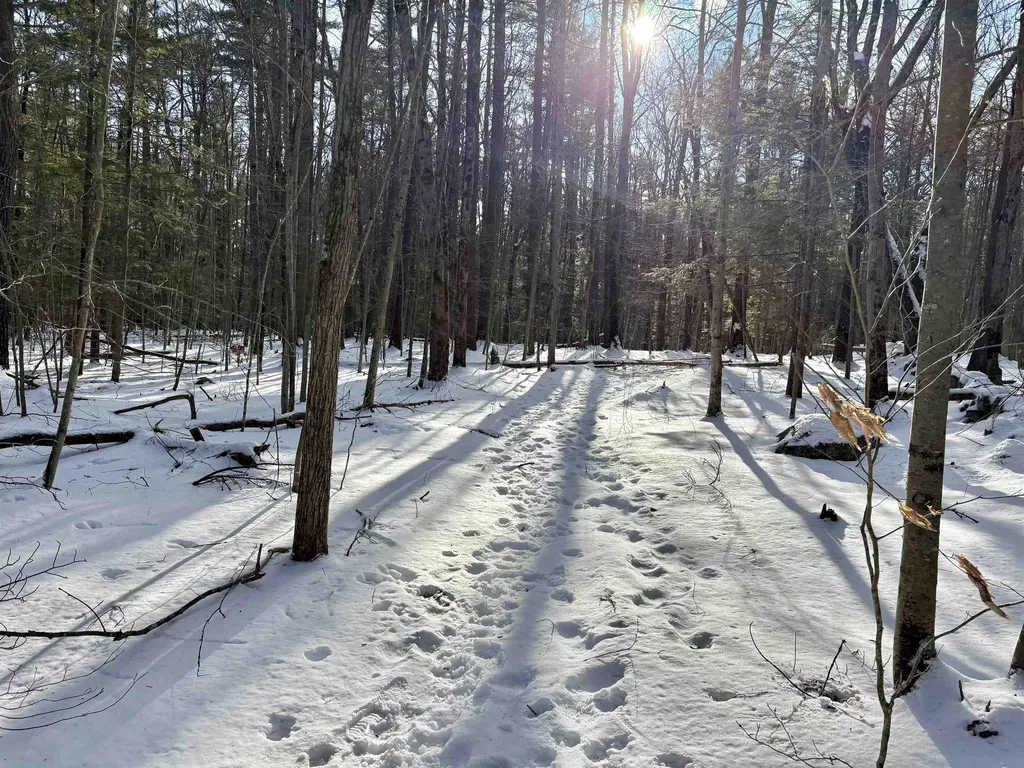 Lot 80-1 Currier Road Candia NH 03034