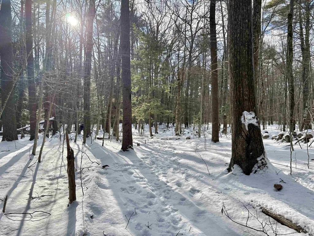 Lot 80-1 Currier Road Candia NH 03034