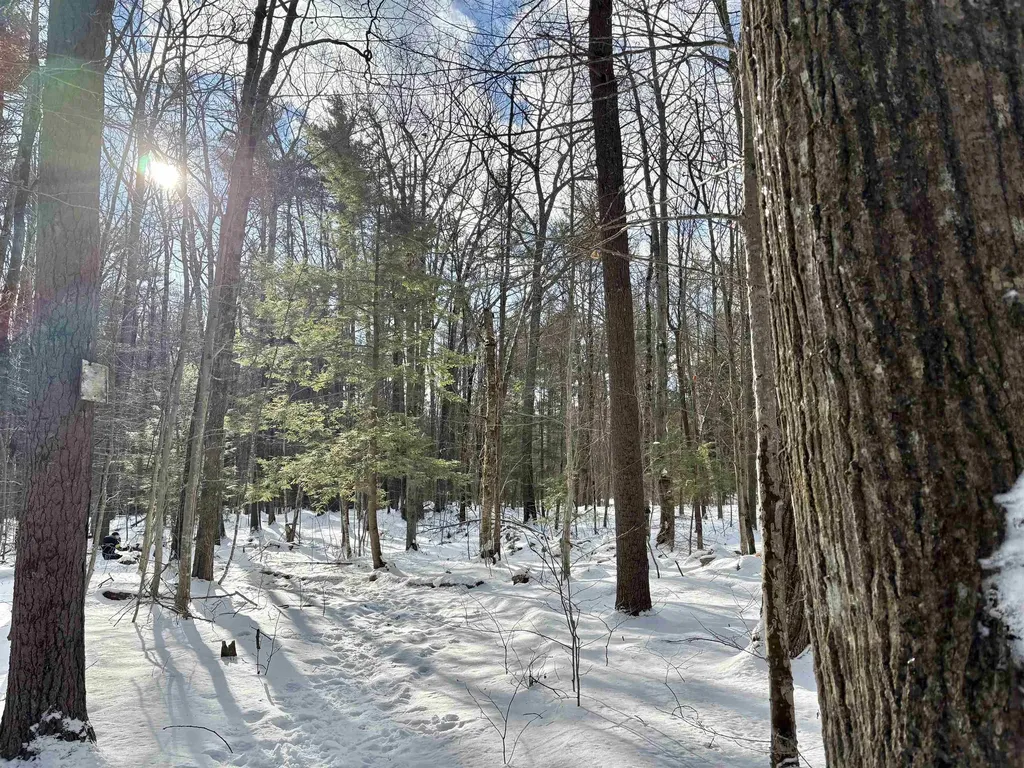 Lot 80-1 Currier Road Candia NH 03034