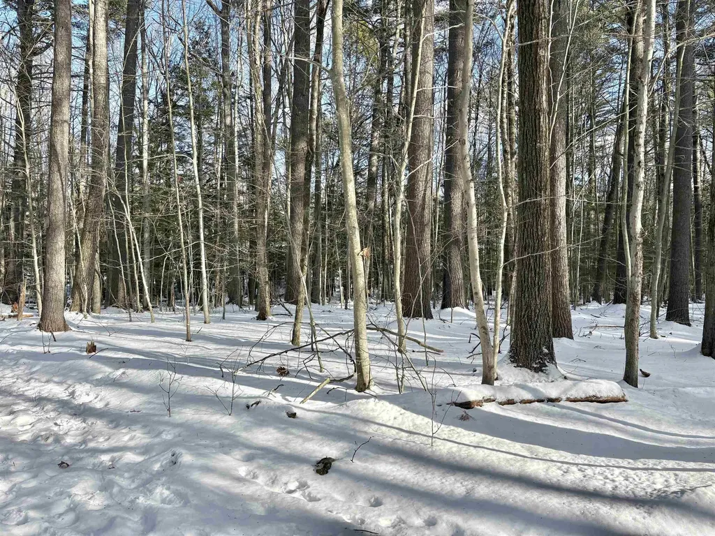Lot 80-1 Currier Road Candia NH 03034