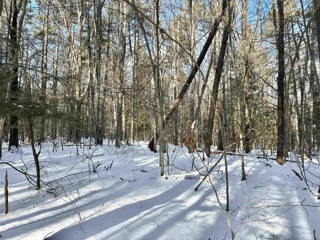 Lot 80-1 Currier Road Candia NH 03034