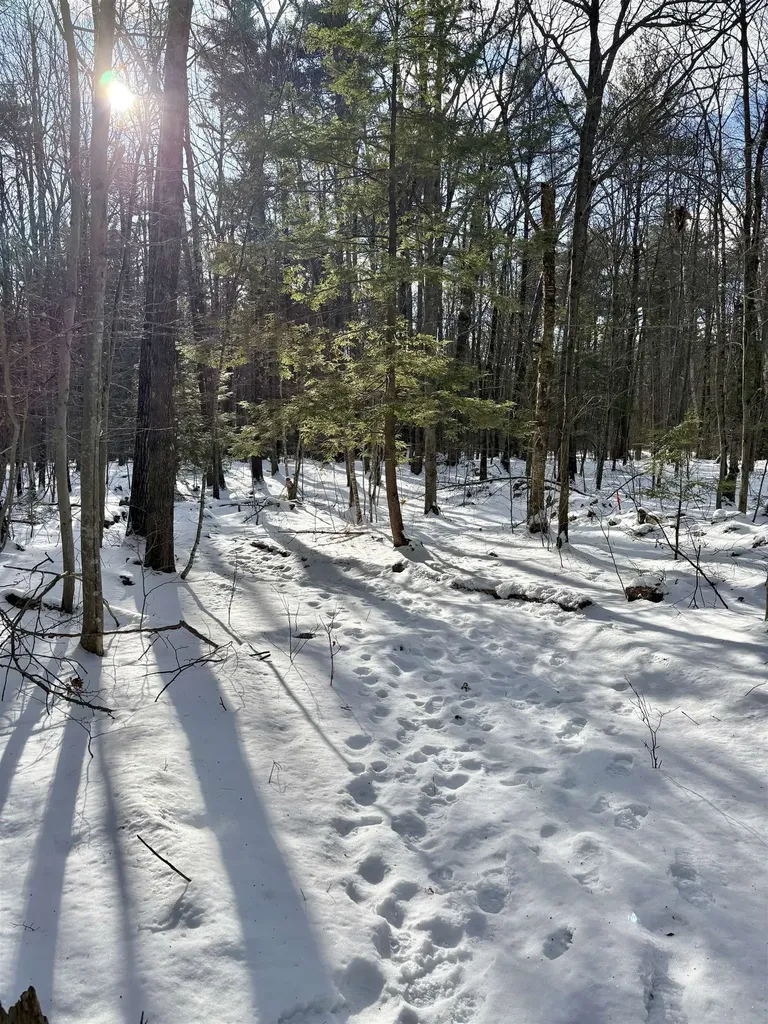 Lot 80-1 Currier Road Candia NH 03034