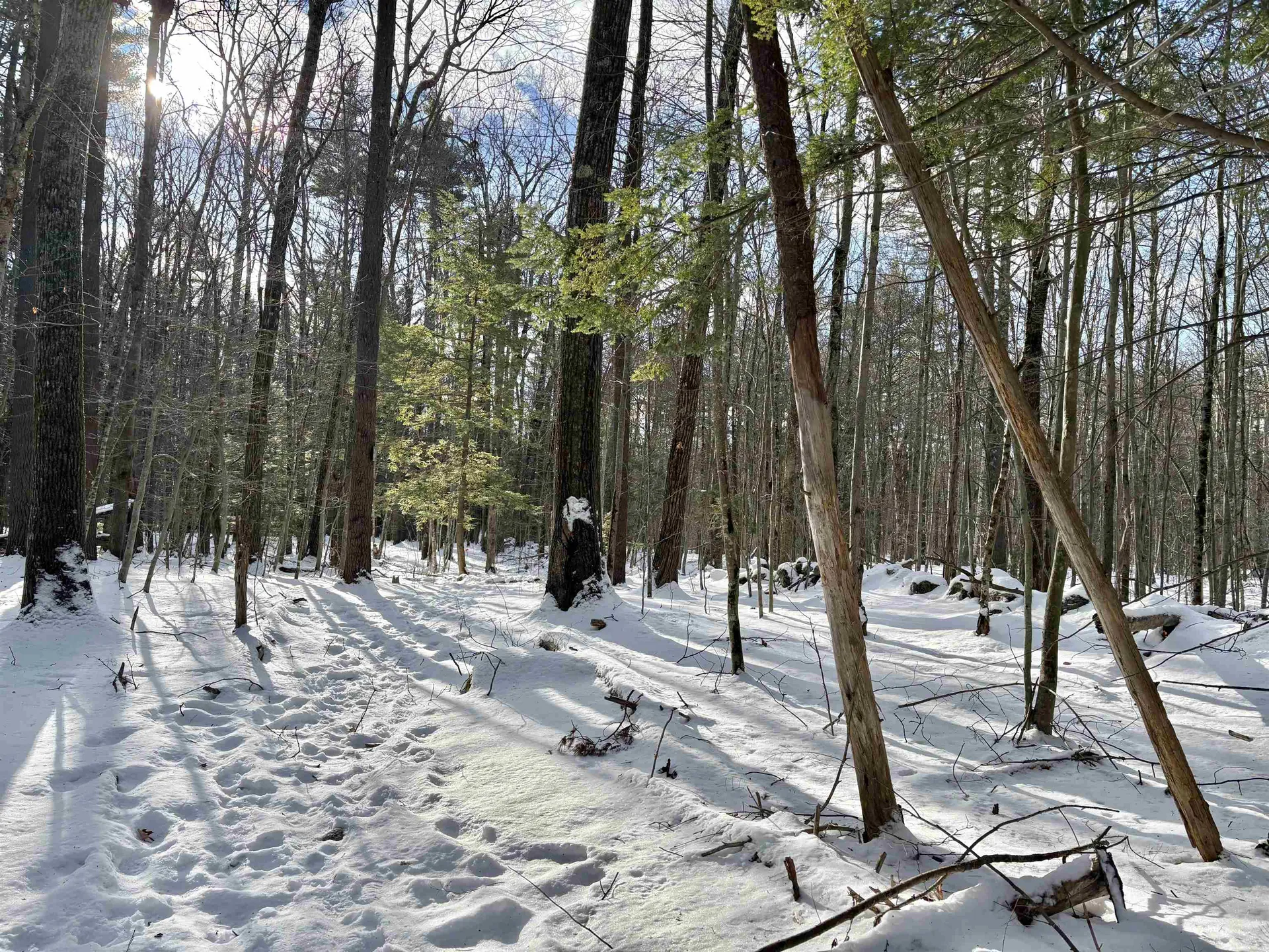 Lot 80-1 Currier Road Candia NH 03034