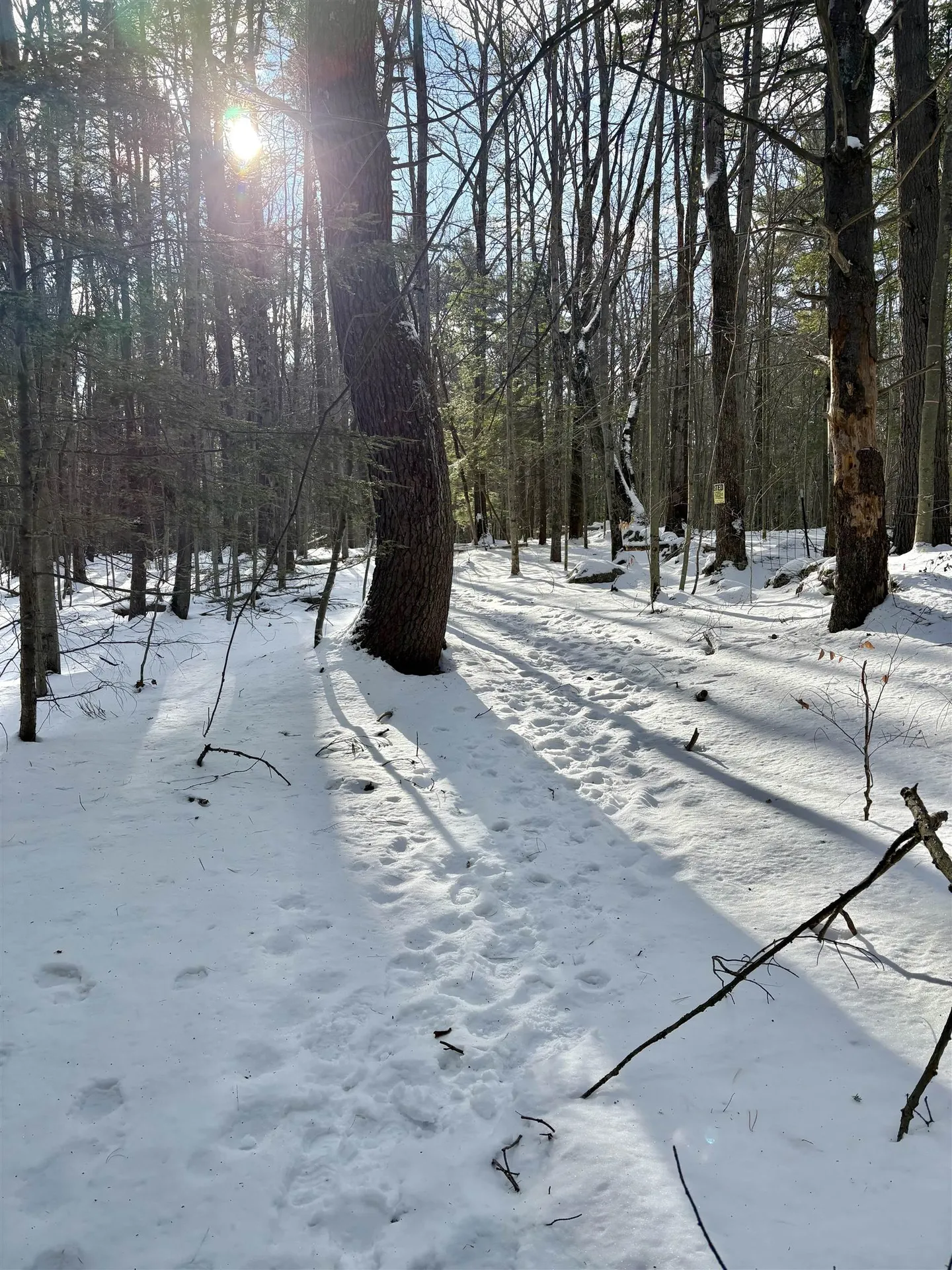 Lot 80-1 Currier Road Candia NH 03034