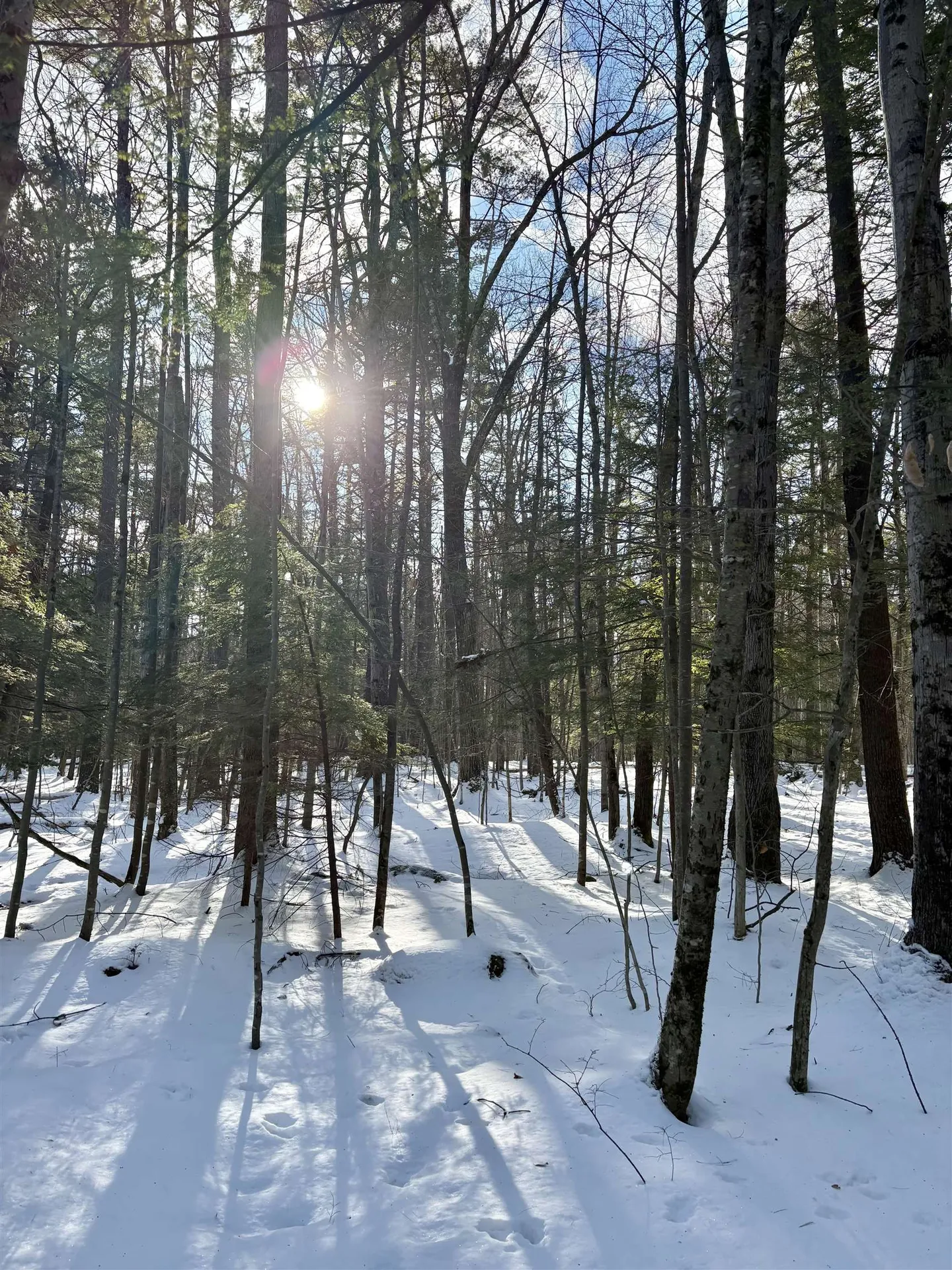 Lot 80-1 Currier Road Candia NH 03034