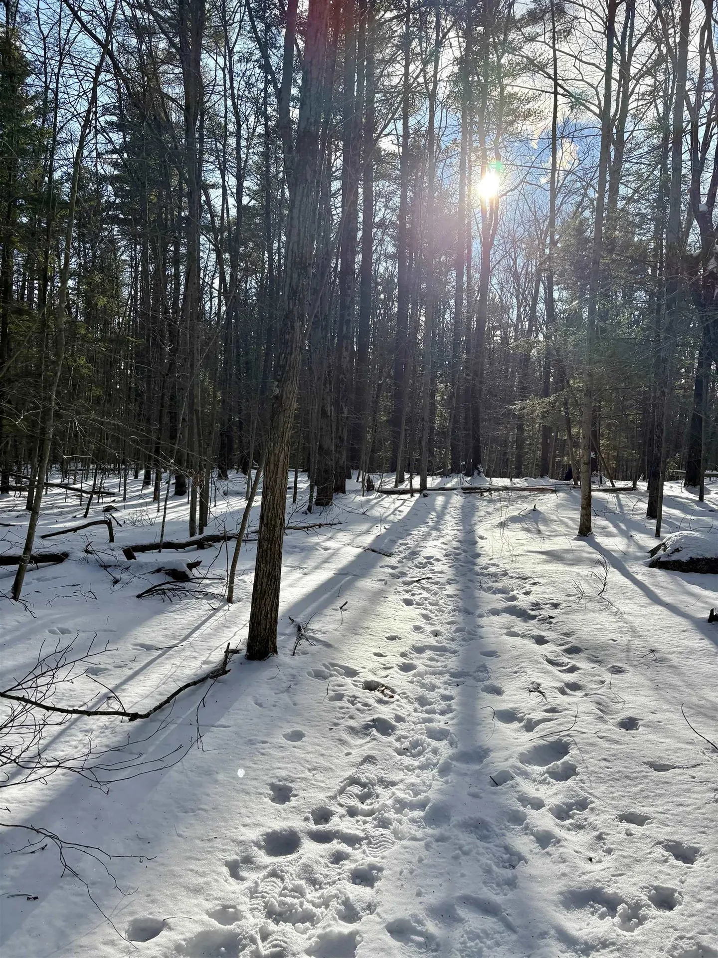 Lot 80-1 Currier Road Candia NH 03034