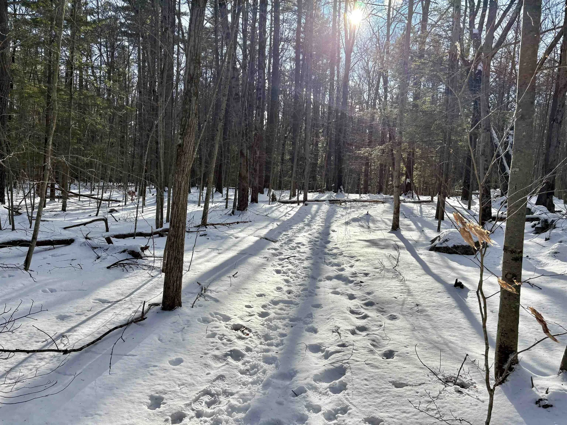 Lot 80-1 Currier Road Candia NH 03034