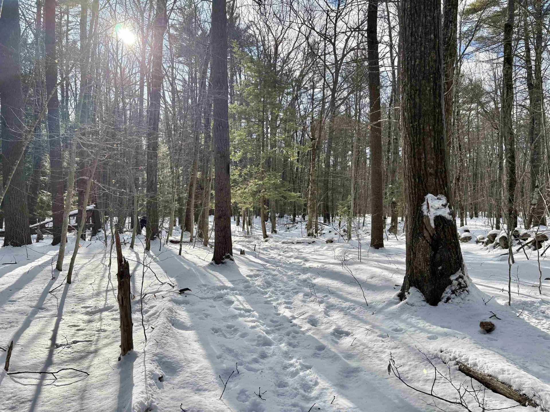 Lot 80-1 Currier Road Candia NH 03034