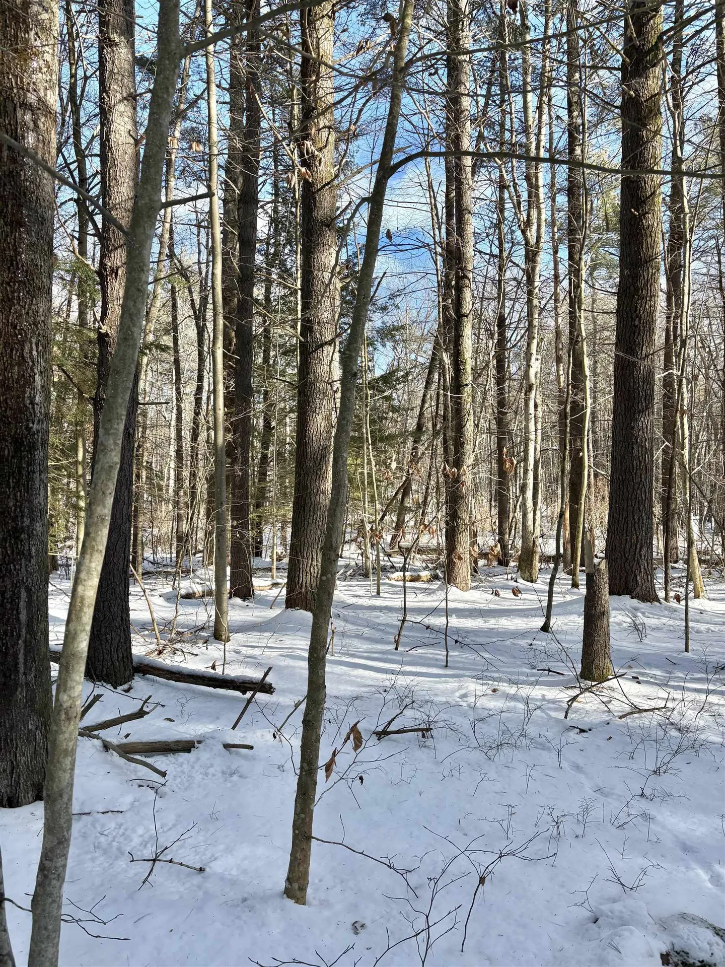 Lot 80-1 Currier Road Candia NH 03034