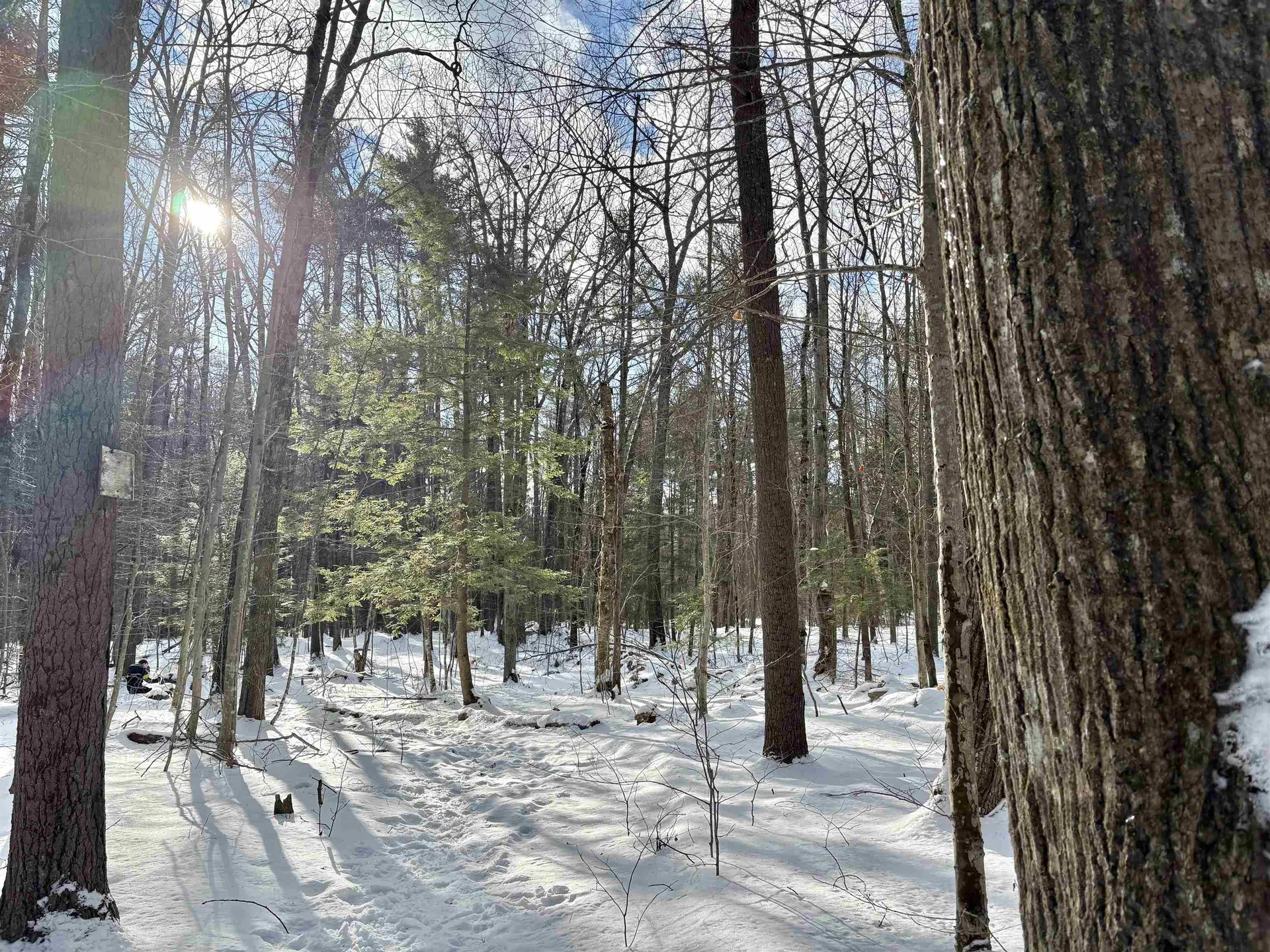 Lot 80-1 Currier Road Candia NH 03034