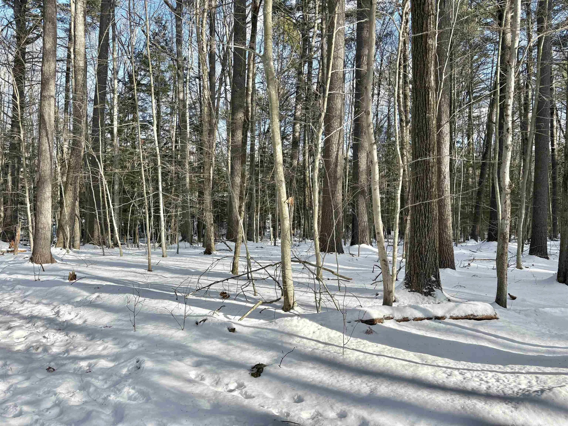 Lot 80-1 Currier Road Candia NH 03034