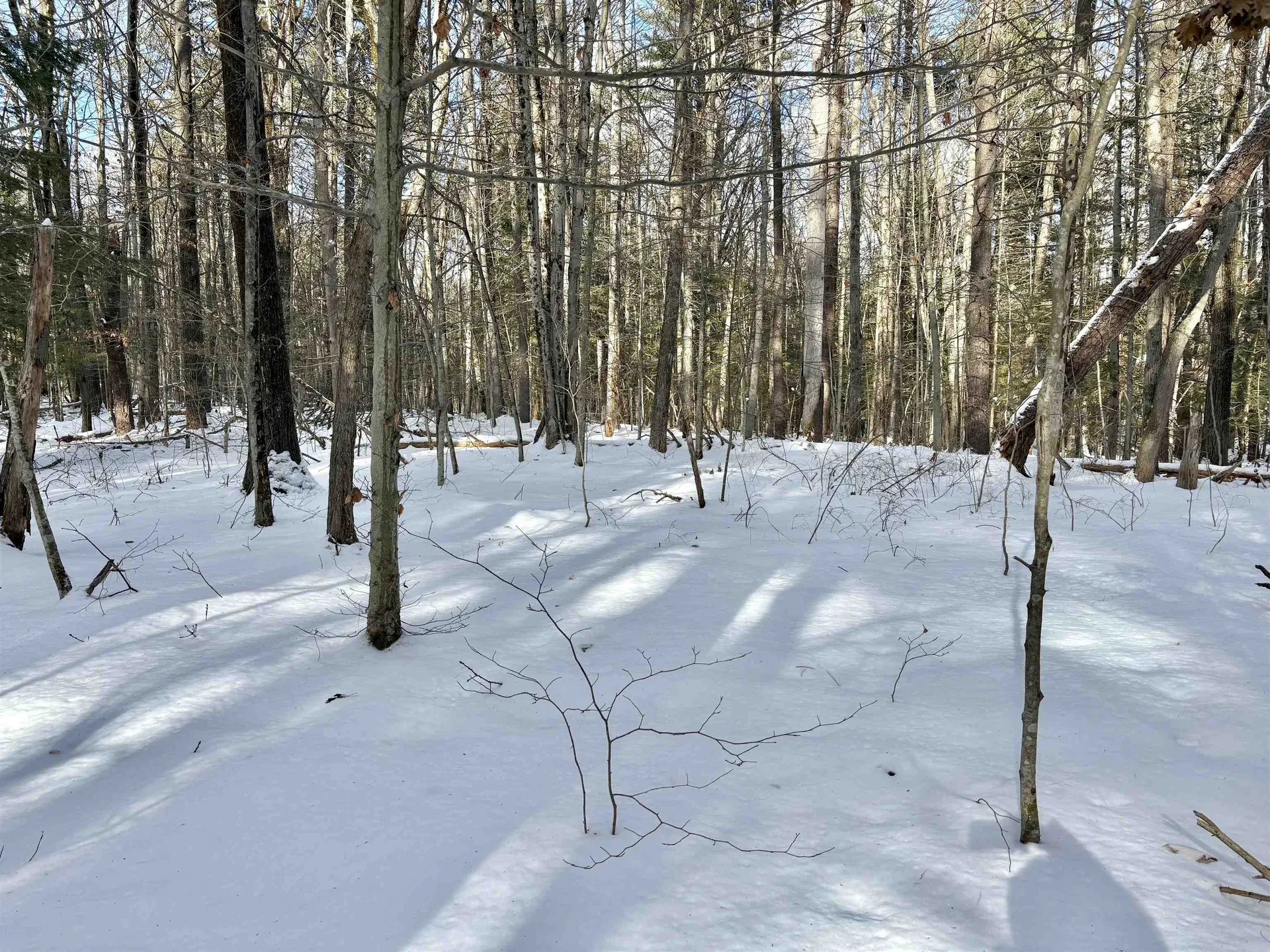 Lot 80-1 Currier Road Candia NH 03034