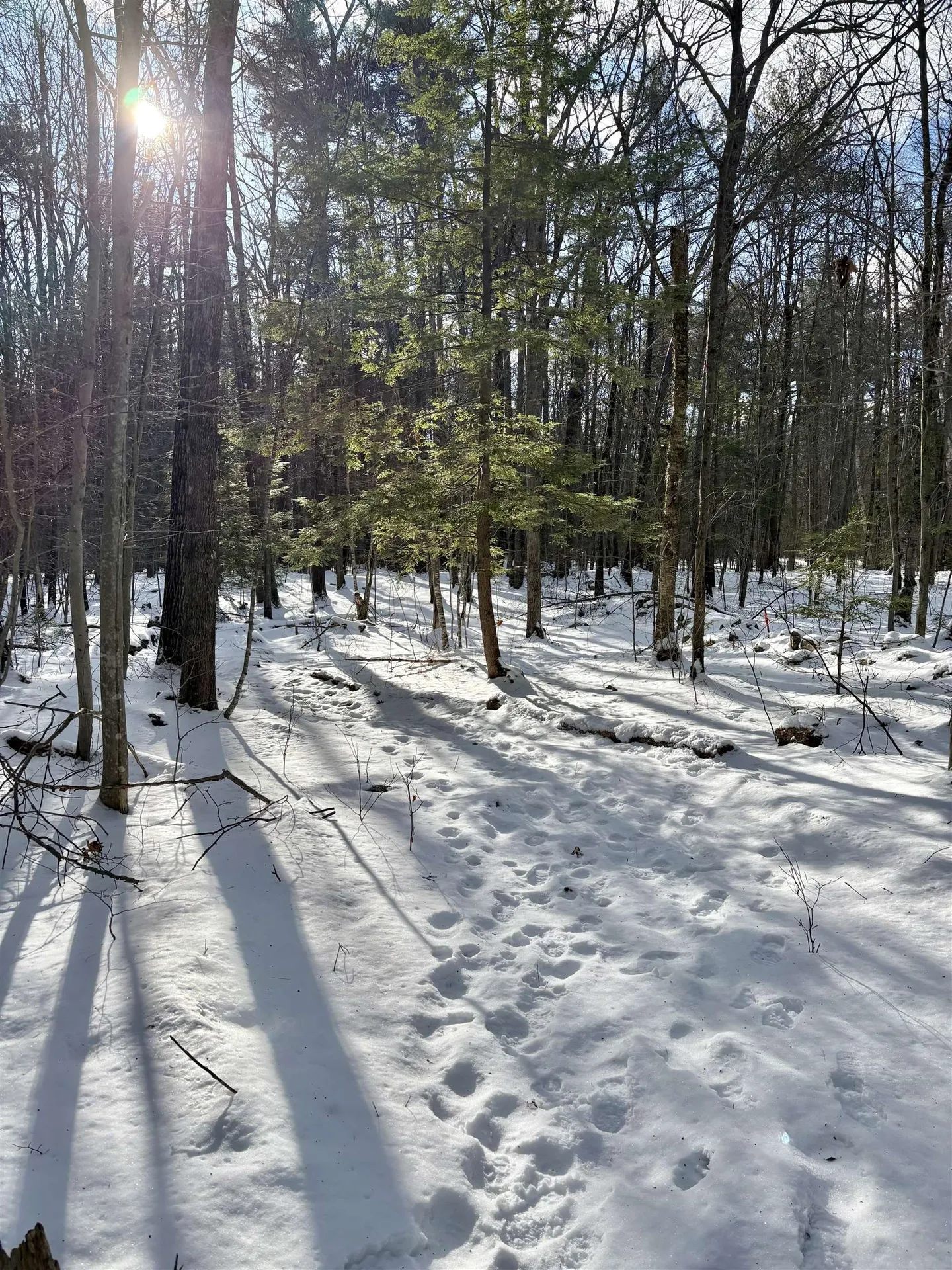 Lot 80-1 Currier Road Candia NH 03034