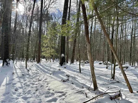 Lot 80-1 Currier Road Candia NH 03034