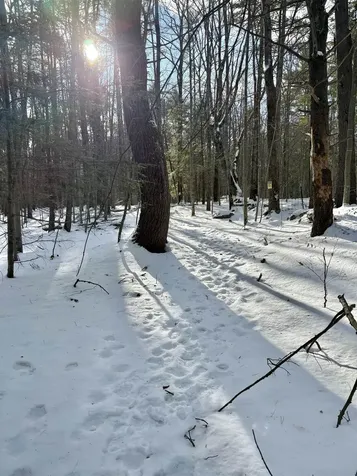 Lot 80-1 Currier Road Candia NH 03034