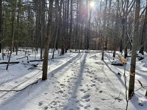 Lot 80-1 Currier Road Candia NH 03034