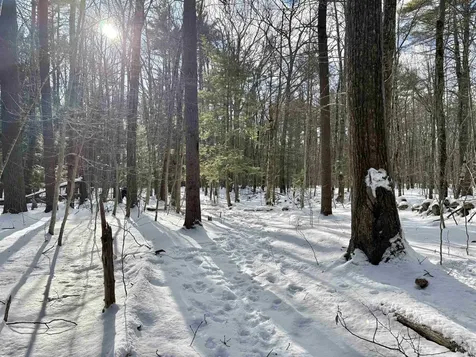 Lot 80-1 Currier Road Candia NH 03034