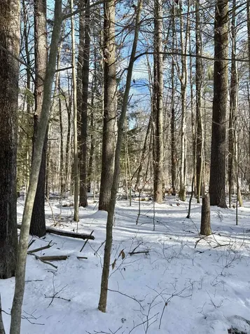 Lot 80-1 Currier Road Candia NH 03034