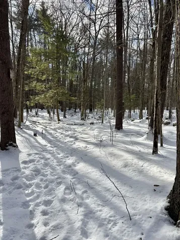 Lot 80-1 Currier Road Candia NH 03034