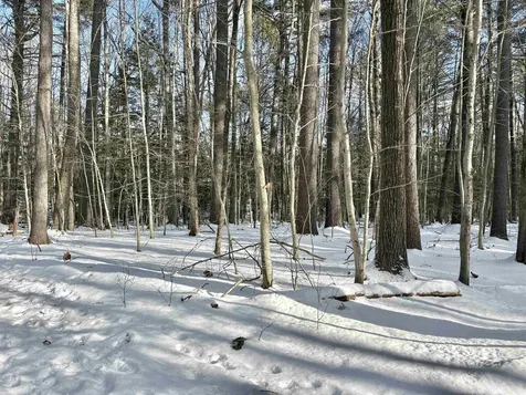 Lot 80-1 Currier Road Candia NH 03034